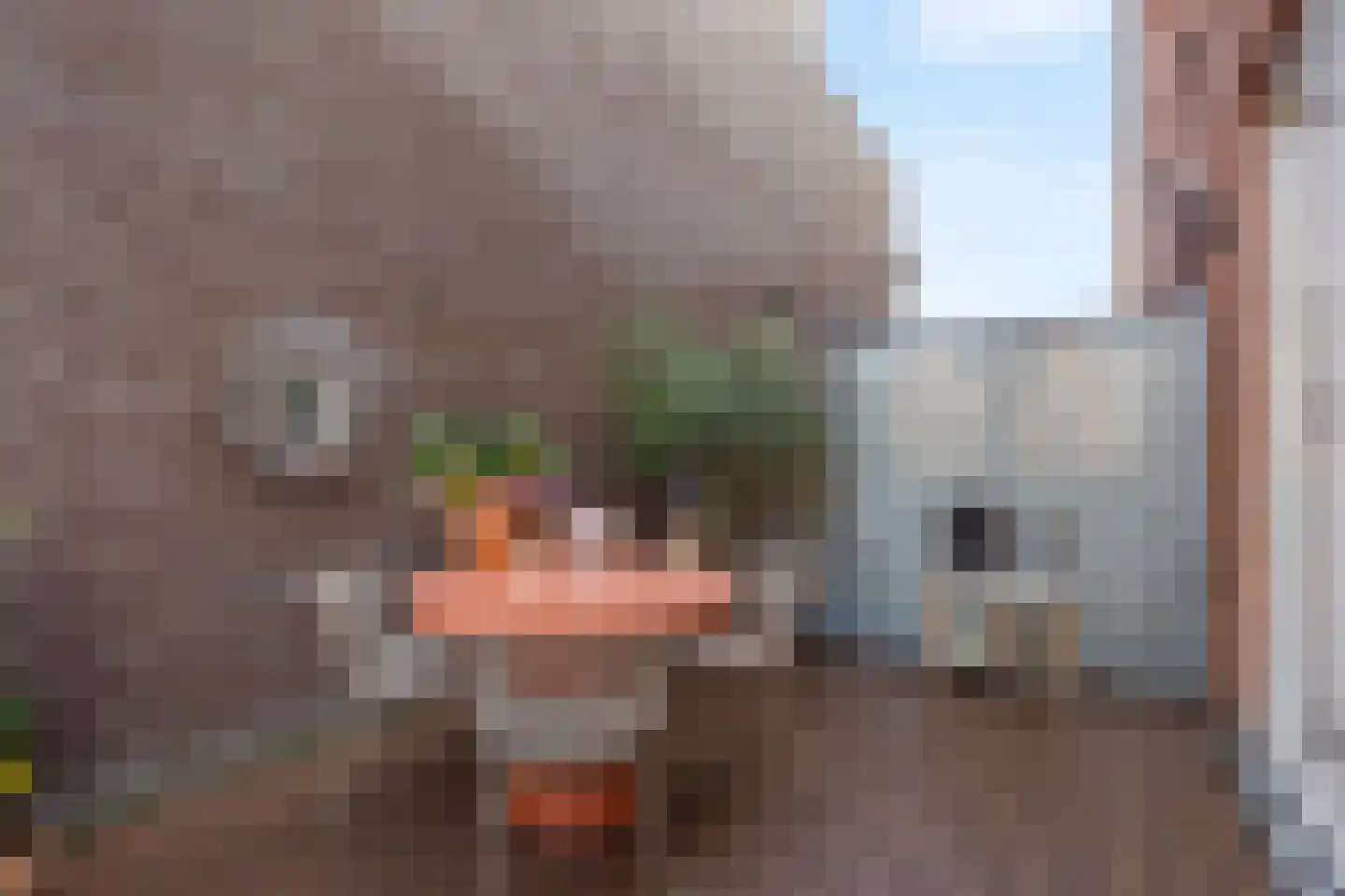 Blekerslaan 2 a Rijswijk thumbnail 23