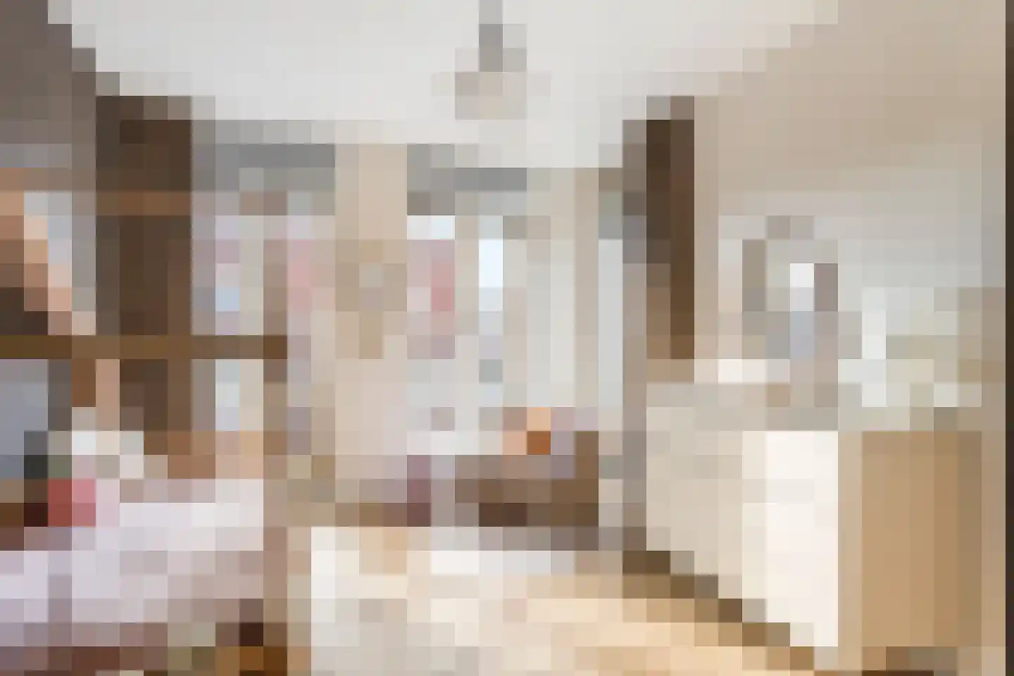 Blekerslaan 2 a Rijswijk thumbnail 30