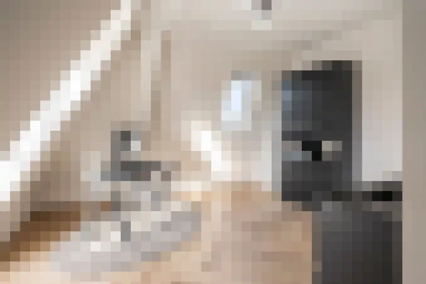 Blekerslaan 2 a Rijswijk thumbnail 35