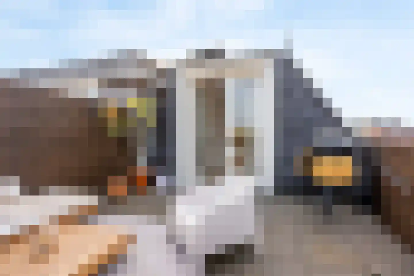 Blekerslaan 2 a Rijswijk thumbnail 41