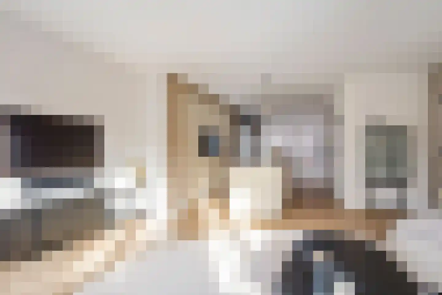 Blekerslaan 2 a Rijswijk thumbnail 7