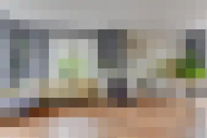Blekerslaan 3 Alkmaar thumbnail 11