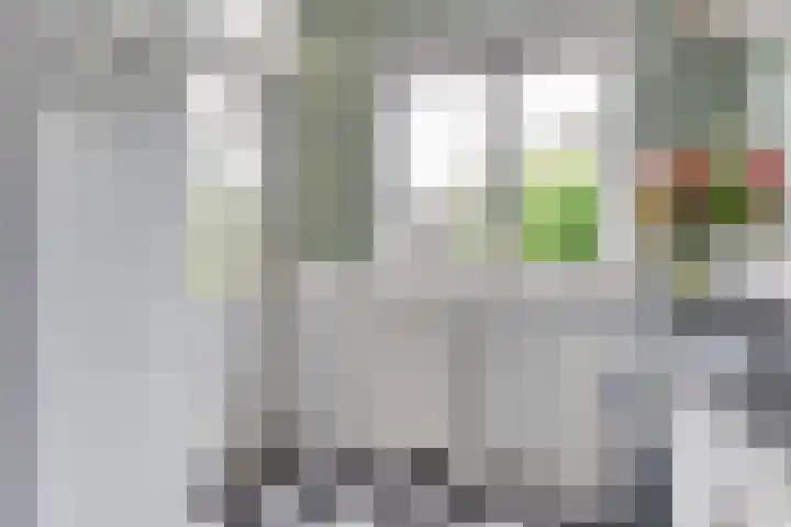 Blekerslaan 3 Alkmaar thumbnail 17