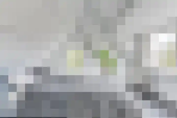 Blekerslaan 3 Alkmaar thumbnail 32