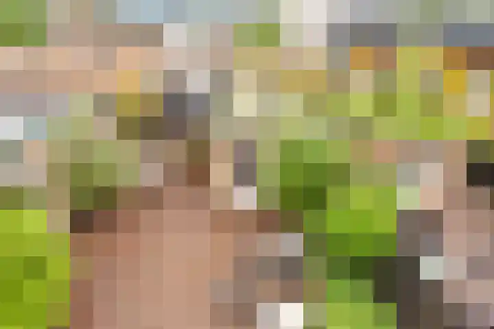 Blekerslaan 3 Alkmaar thumbnail 35