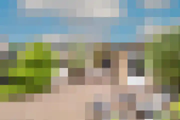 Blekerslaan 3 Alkmaar thumbnail 4