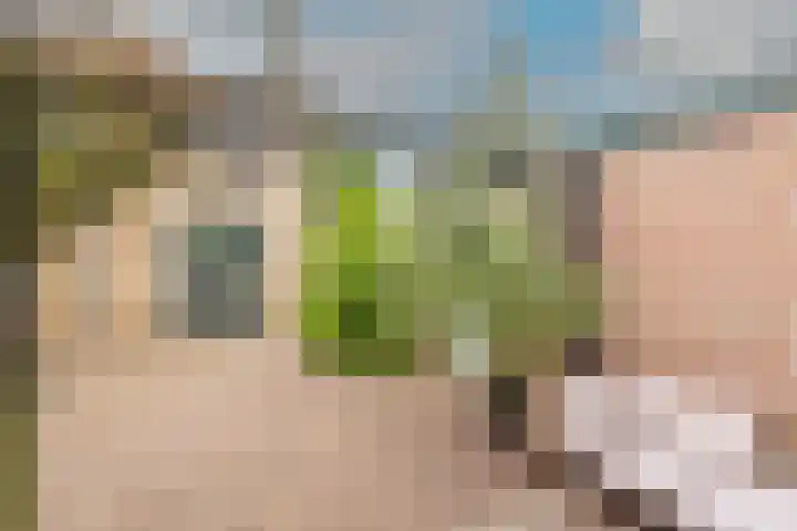 Blekerslaan 3 Alkmaar thumbnail 41
