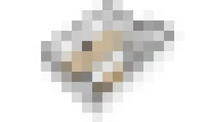 Blekerslaan 3 Alkmaar thumbnail 52