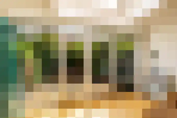 Blekerslaan 31 Groningen thumbnail 11