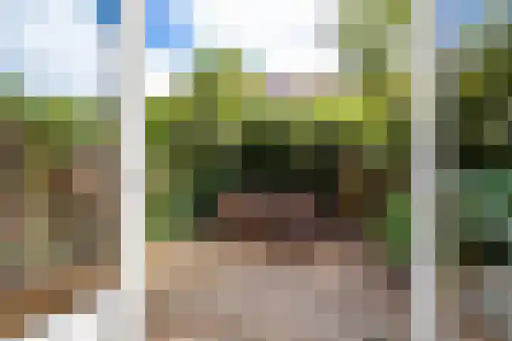 Blekerslaan 31 Groningen thumbnail 12