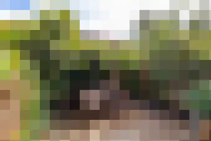 Blekerslaan 31 Groningen thumbnail 13