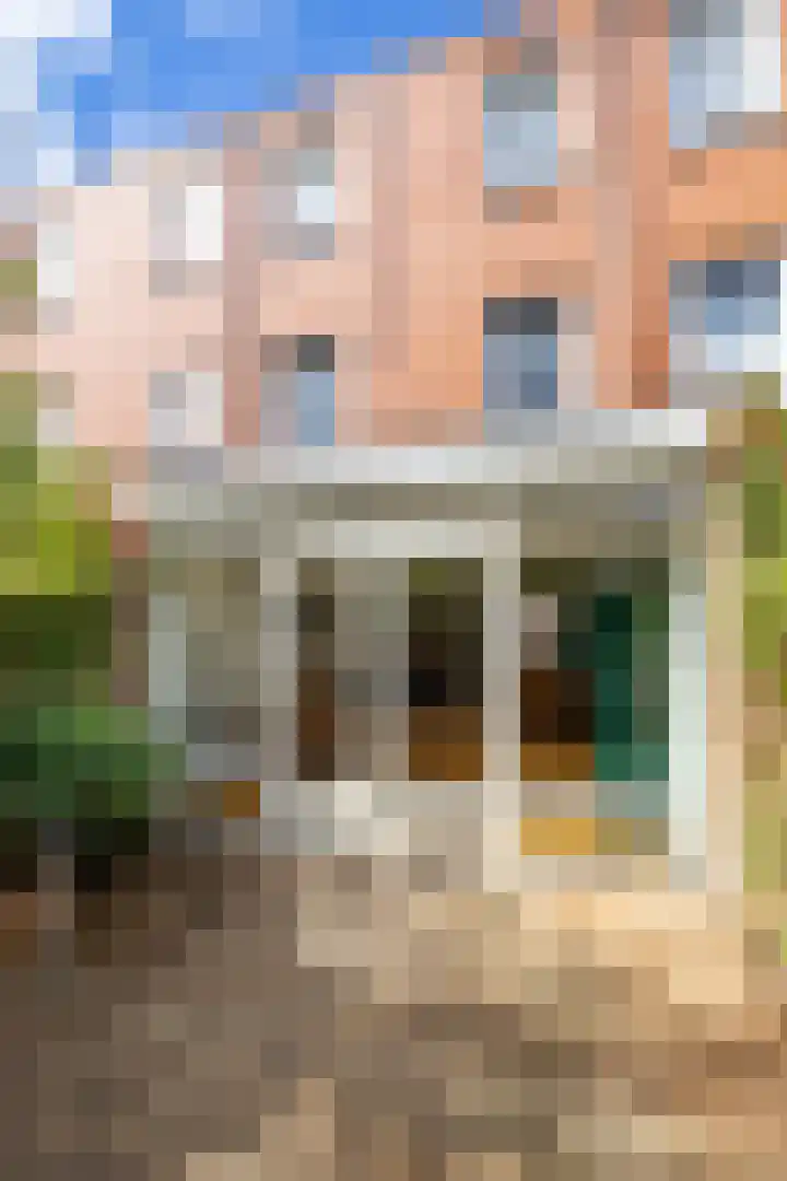 Blekerslaan 31 Groningen thumbnail 14