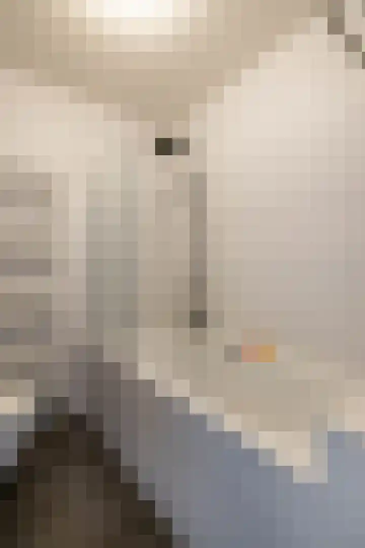 Blekerslaan 31 Groningen thumbnail 26