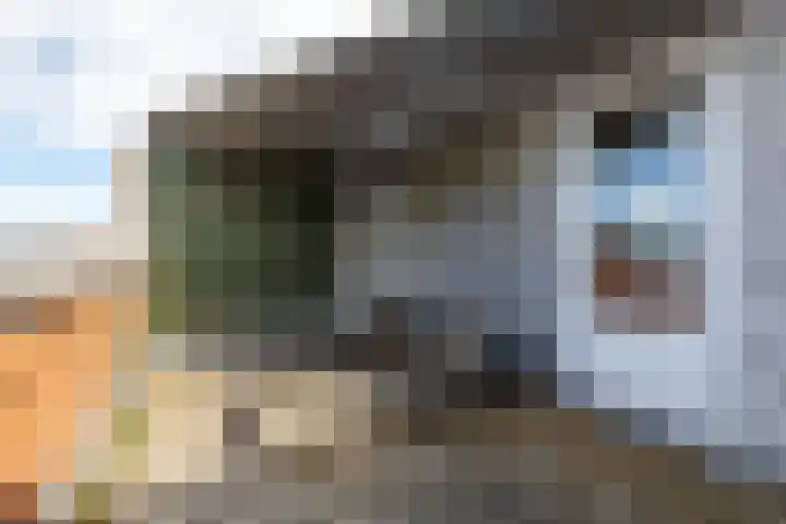 Blekerslaan 31 Groningen thumbnail 36