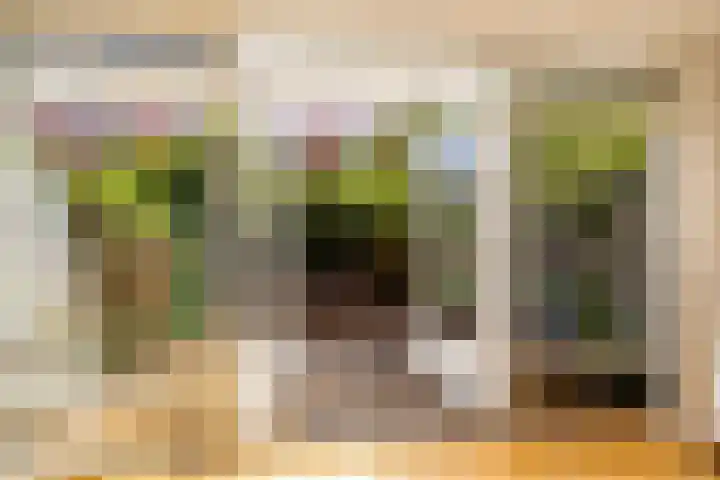 Blekerslaan 31 Groningen thumbnail 4