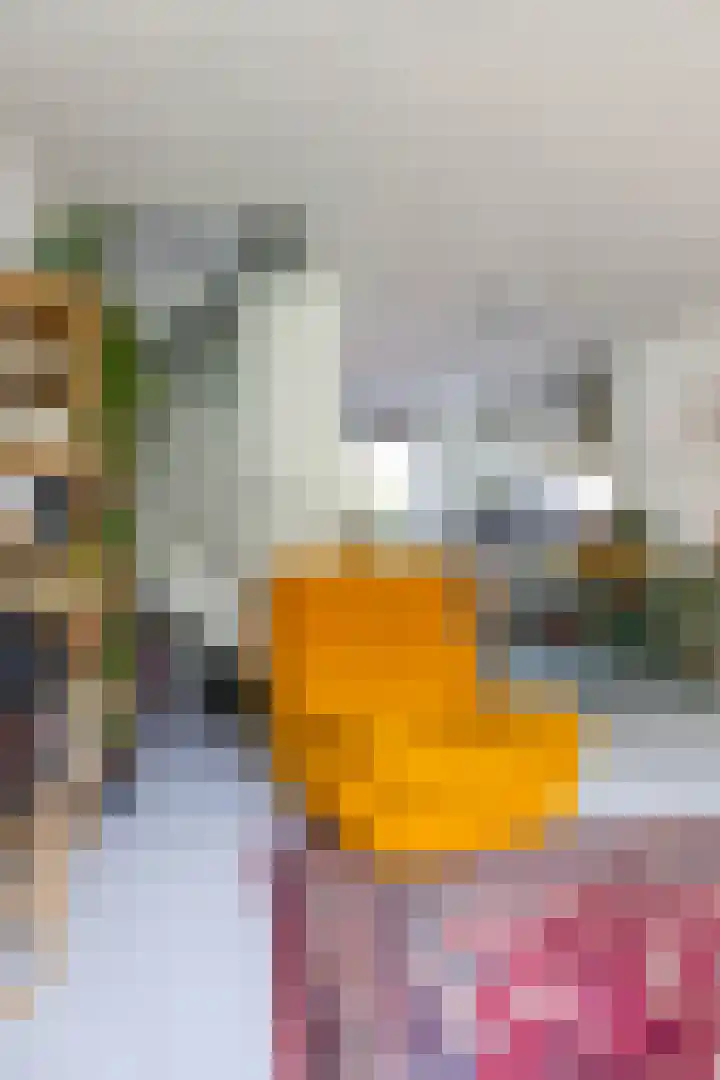 Blekerslaan 33 Groningen thumbnail 16