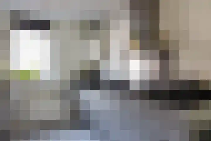 Blekerslaan 33 Groningen thumbnail 18