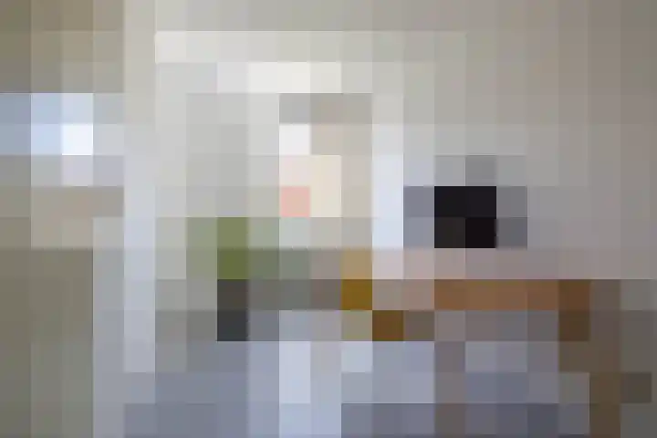 Blekerslaan 33 Groningen thumbnail 24