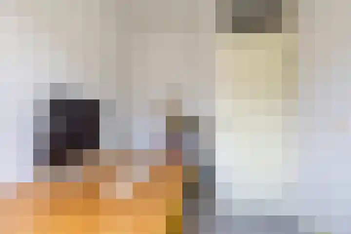 Blekerslaan 33 Groningen thumbnail 25