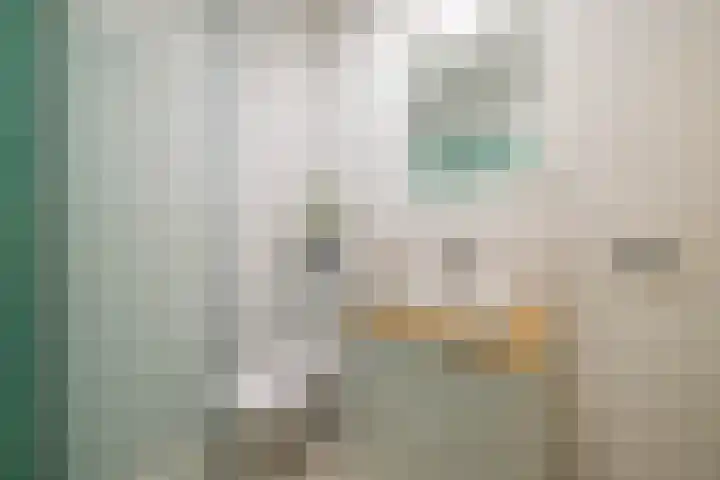 Blekerslaan 33 Groningen thumbnail 30