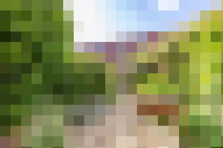 Blekerslaan 33 Groningen thumbnail 40