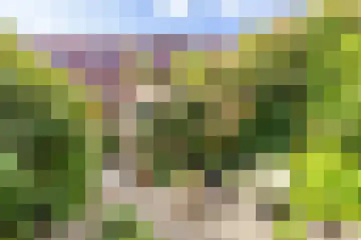 Blekerslaan 33 Groningen thumbnail 41