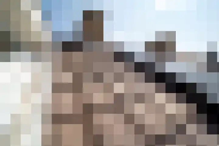 Blekerslaan 35 Rijswijk thumbnail 43