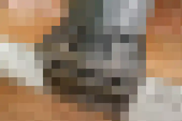 Blekerslaan 43 Rijswijk thumbnail 28