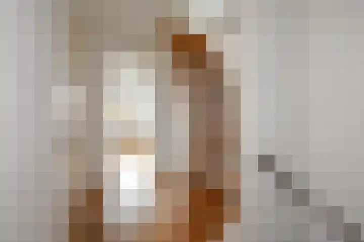 Blekerslaan 43 Rijswijk thumbnail 32