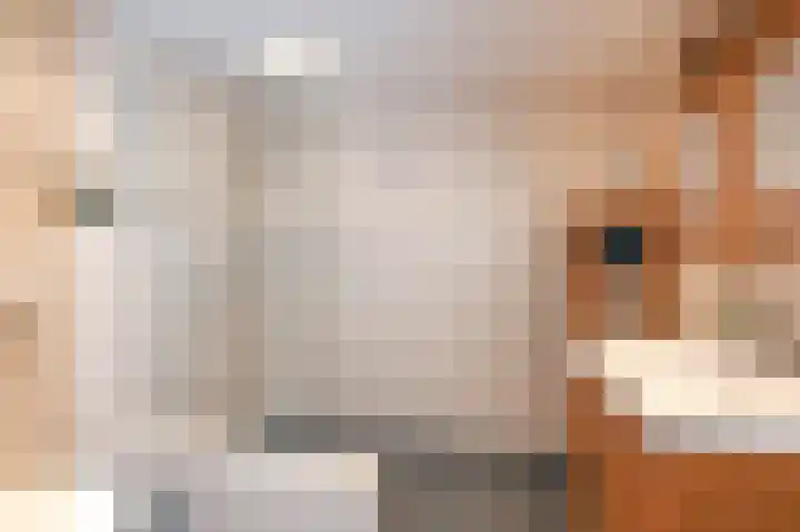 Blekerslaan 43 Rijswijk thumbnail 4