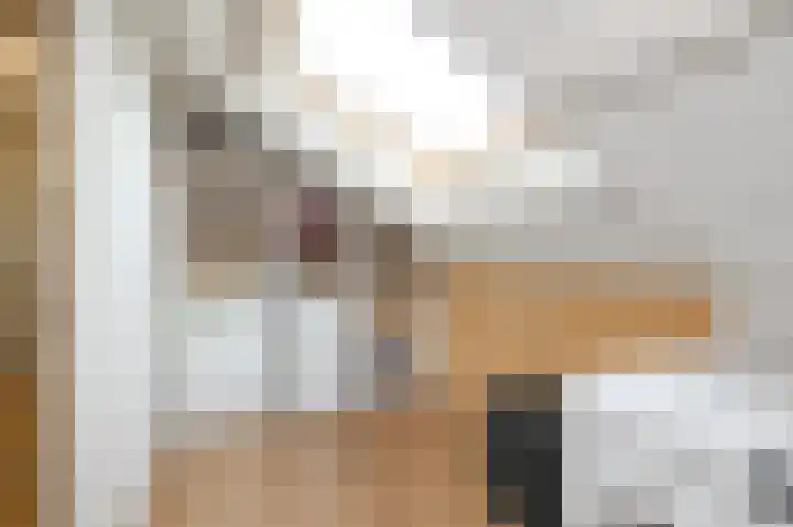 Blekerslaan 43 Rijswijk thumbnail 45