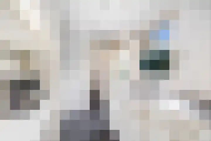 Blekerslaan 44 Rijswijk thumbnail 13