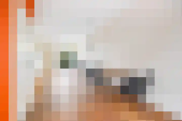 Blekerslaan 44 Rijswijk thumbnail 7