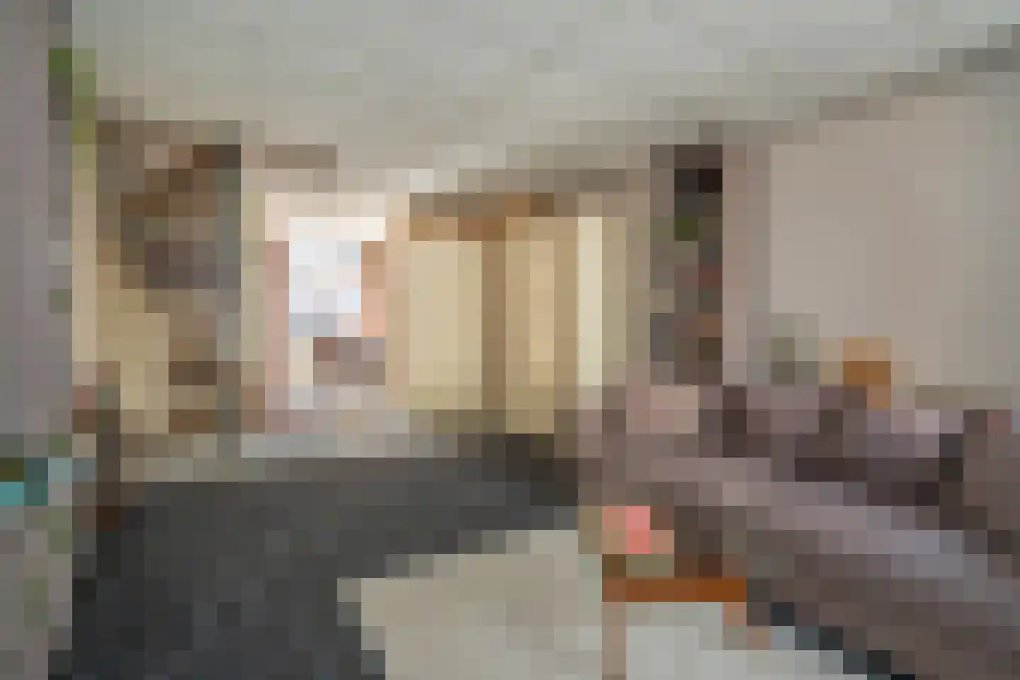 Blekerslaan 46 Rijswijk thumbnail 12