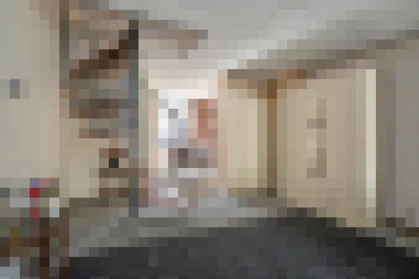 Blekerslaan 46 Rijswijk thumbnail 13