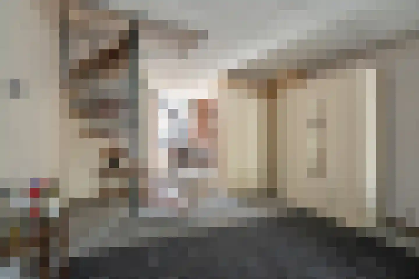 Blekerslaan 46 Rijswijk thumbnail 13