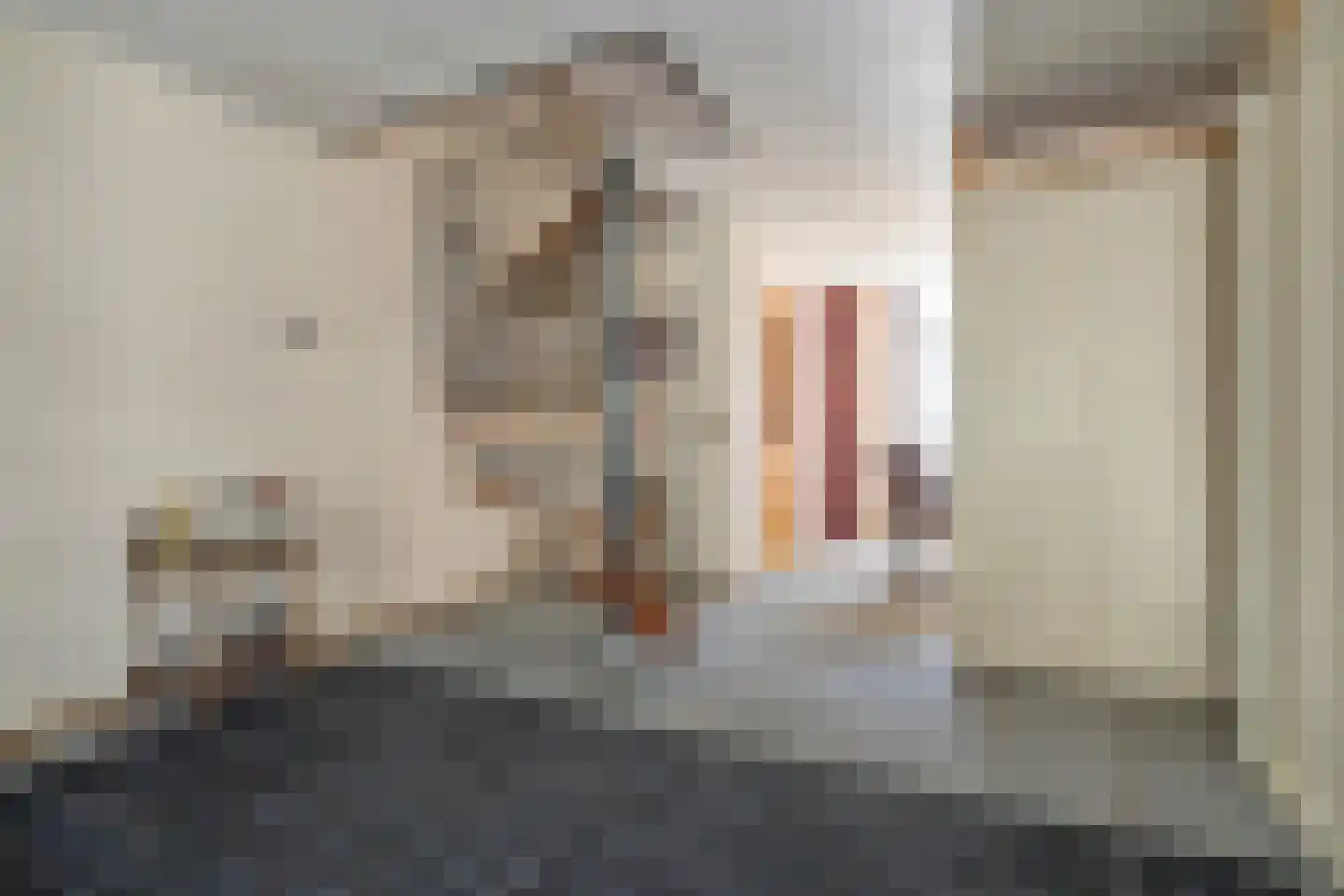 Blekerslaan 46 Rijswijk thumbnail 14