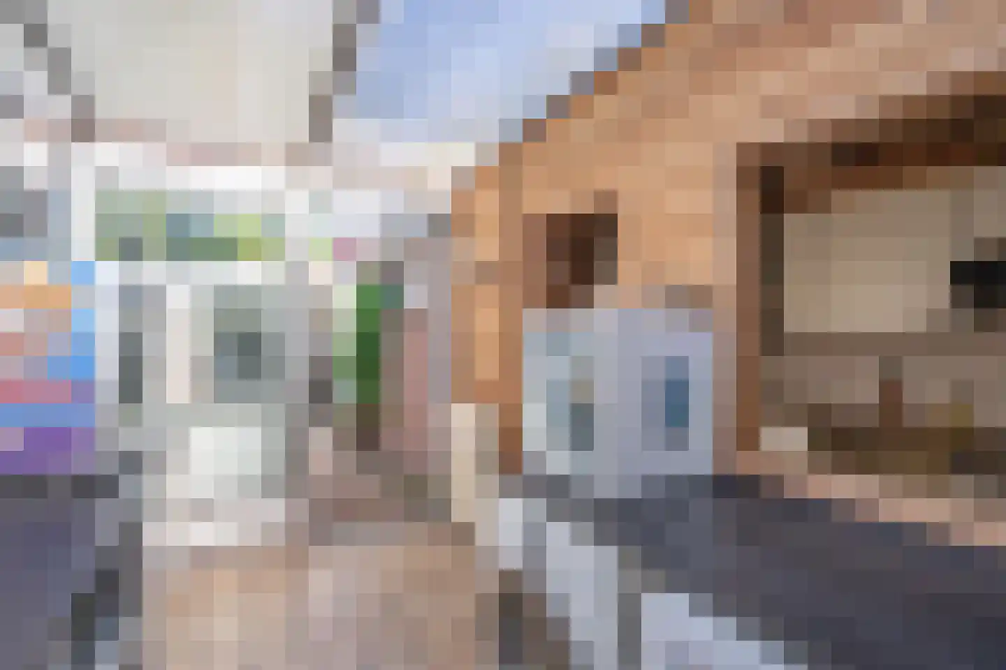 Blekerslaan 46 Rijswijk thumbnail 19