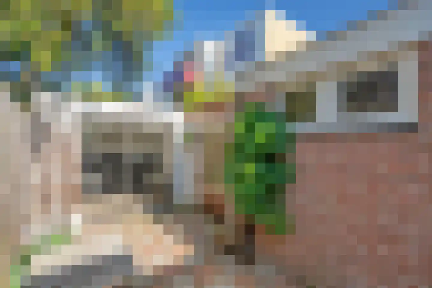 Blekerslaan 46 Rijswijk thumbnail 21