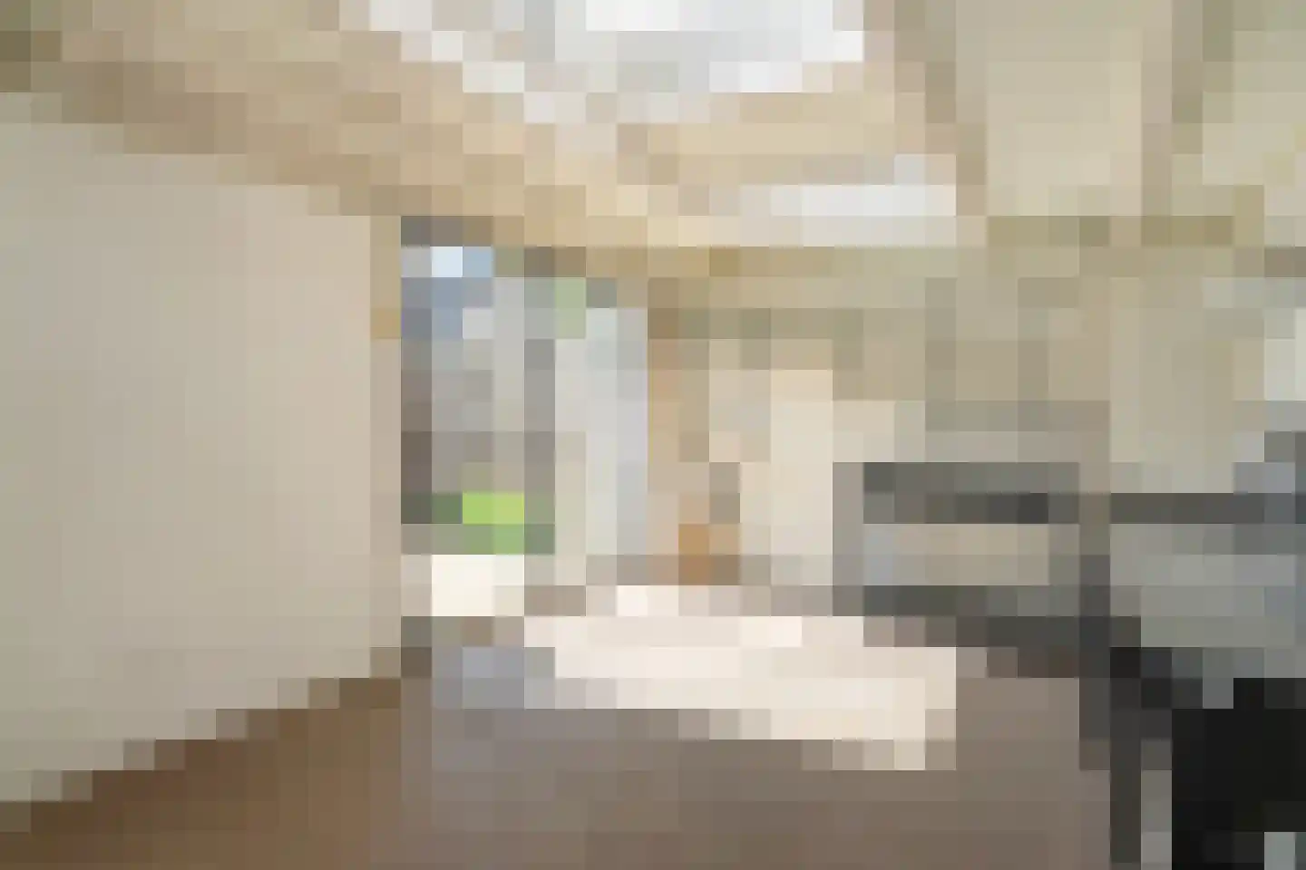 Blekerslaan 46 Rijswijk thumbnail 23