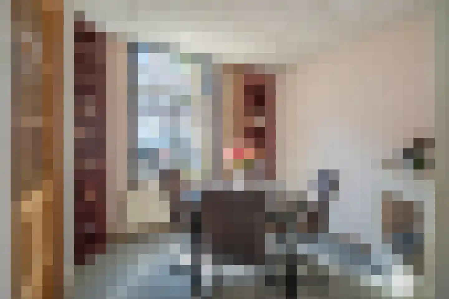 Blekerslaan 46 Rijswijk thumbnail 8