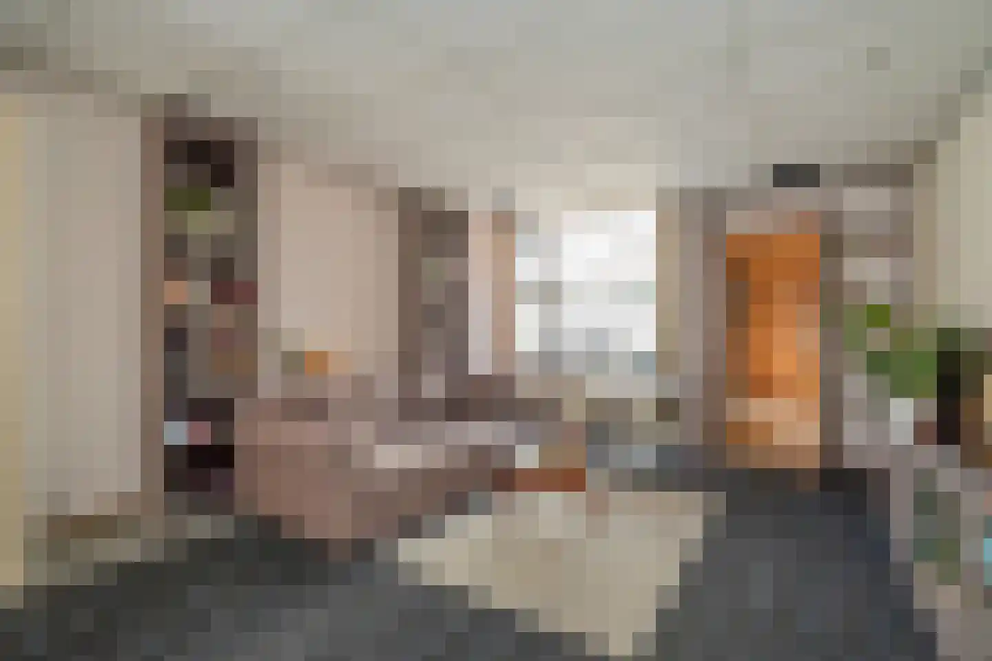 Blekerslaan 46 Rijswijk thumbnail 9