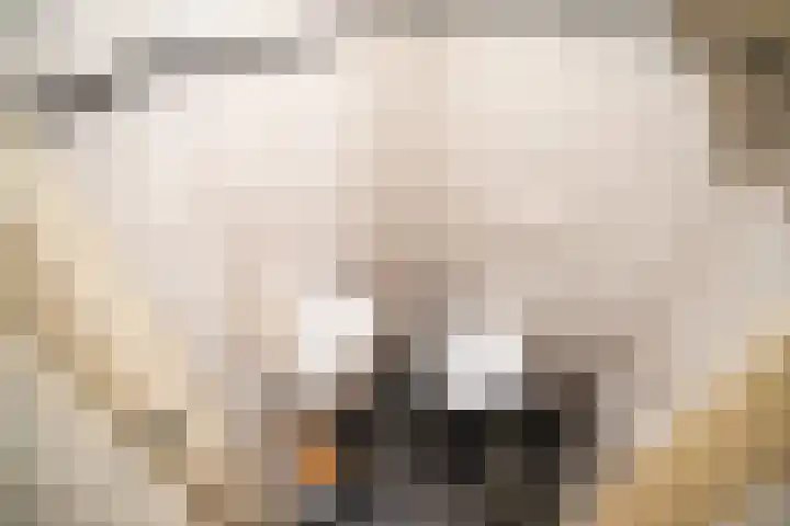 Blekerslaan 65 Rijswijk thumbnail 23