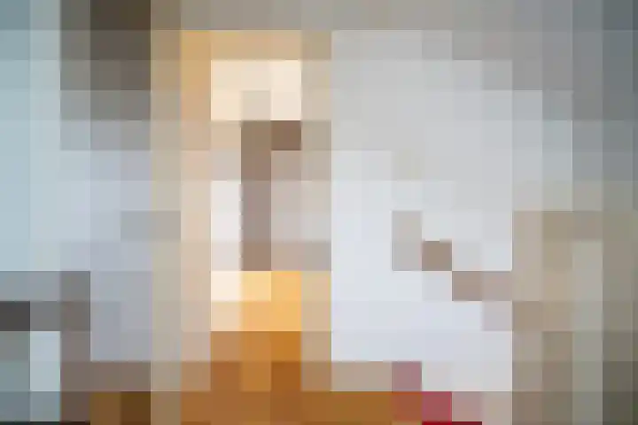 Blekerslaan 65 Rijswijk thumbnail 26