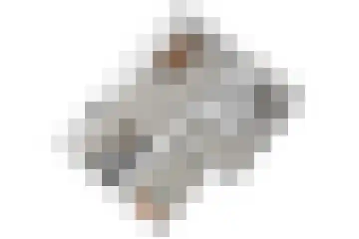 Blekerslaan 65 Rijswijk thumbnail 37