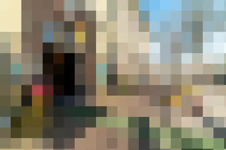 Blekerssingel 1 a Gouda thumbnail 13