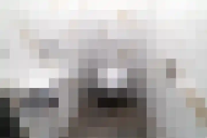 Blekerssingel 1 a Gouda thumbnail 5