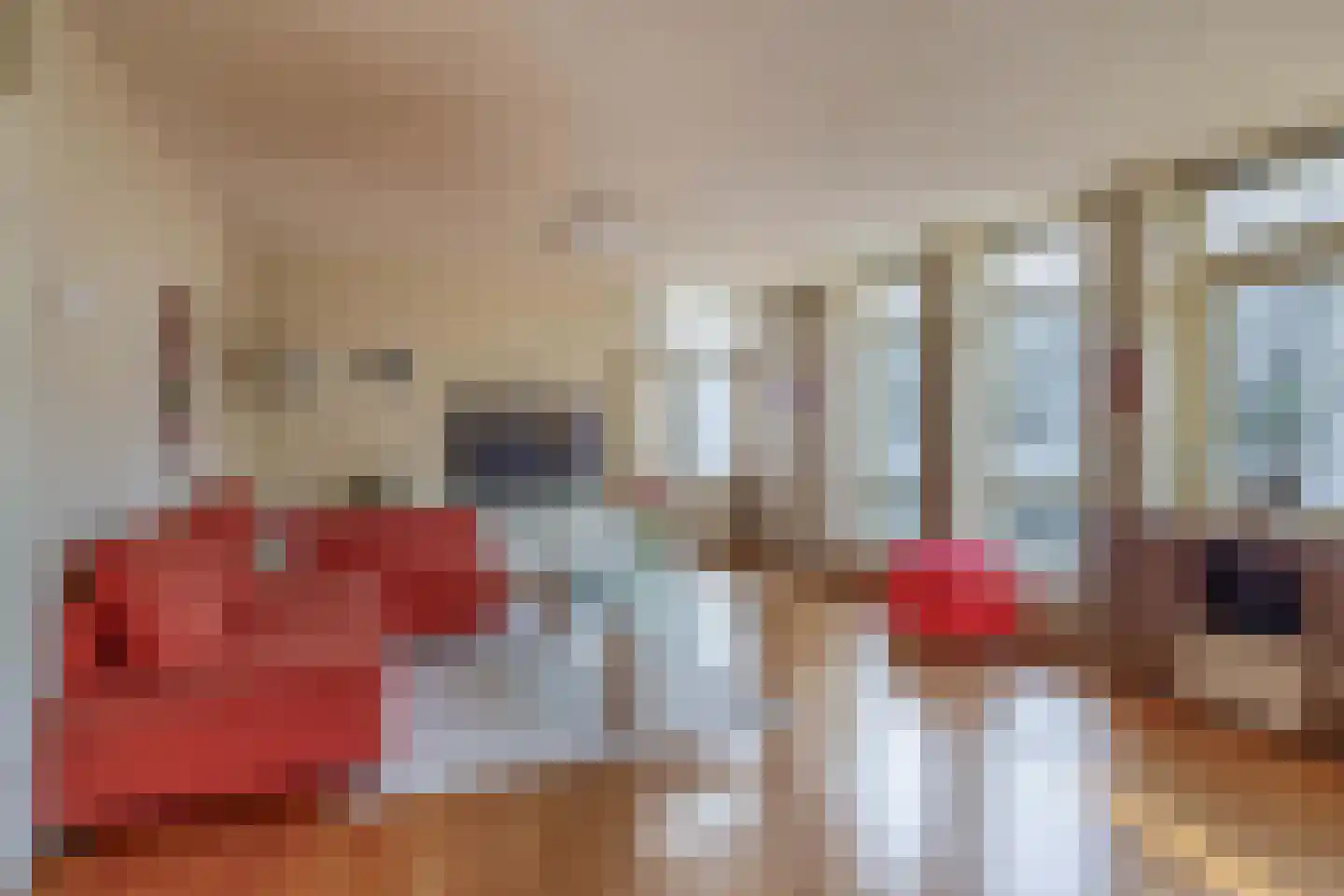 Blekerssingel 42 Gouda thumbnail 10