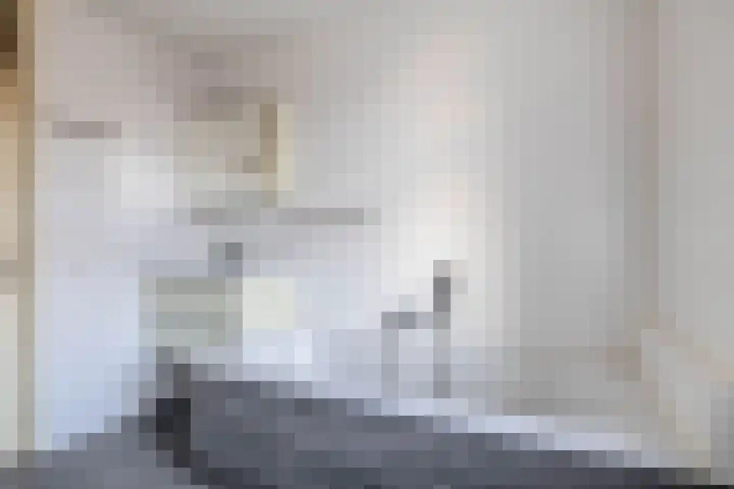 Blekerssingel 42 Gouda thumbnail 23