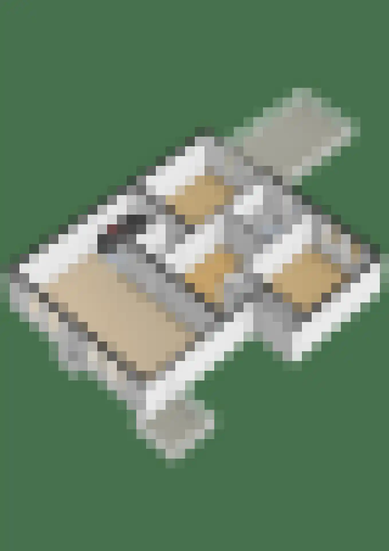 Blekerssingel 42 Gouda thumbnail 36